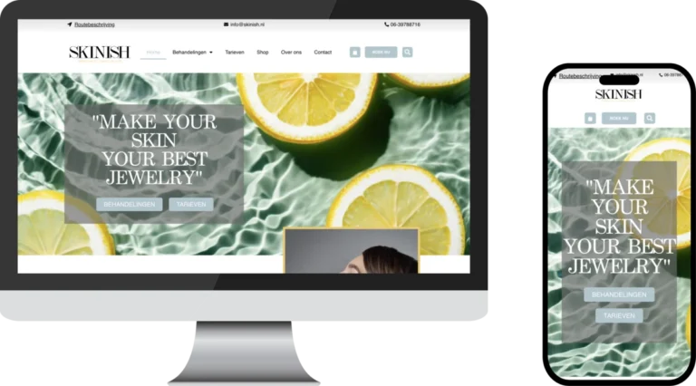 skinish-webdesign